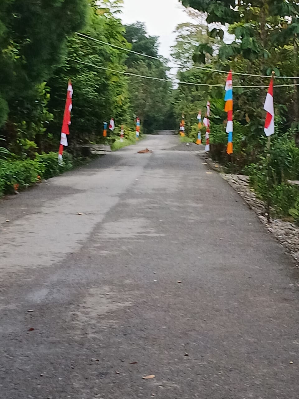 Jelang HUT RI ke 80, Kampung Utikini Perindah Kampung Dengan Umbul-umbul dan Bendera Merah Putih
