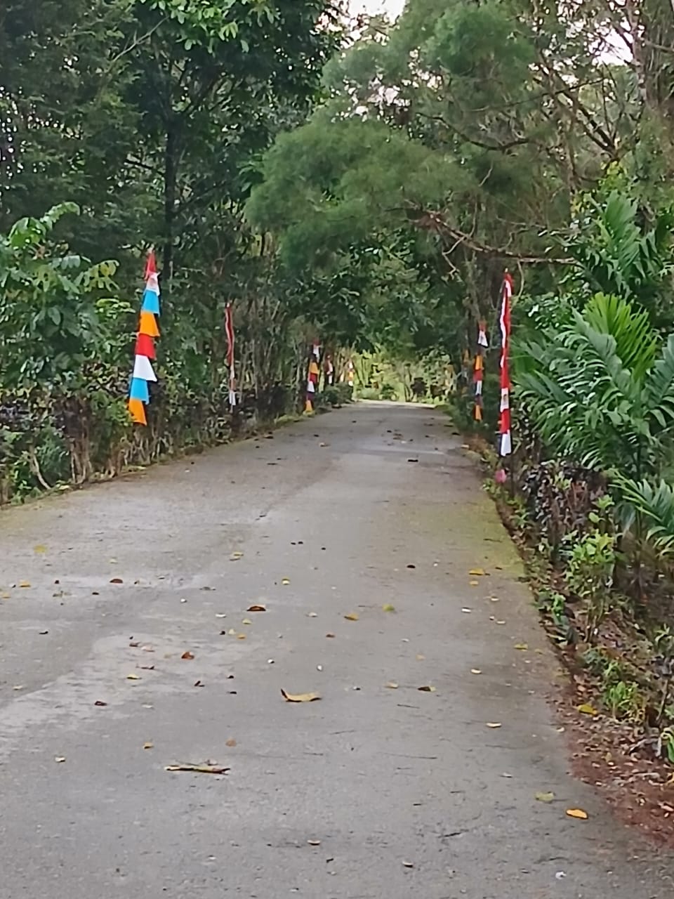 Suasana dijalan masuk Kampung Utikini I