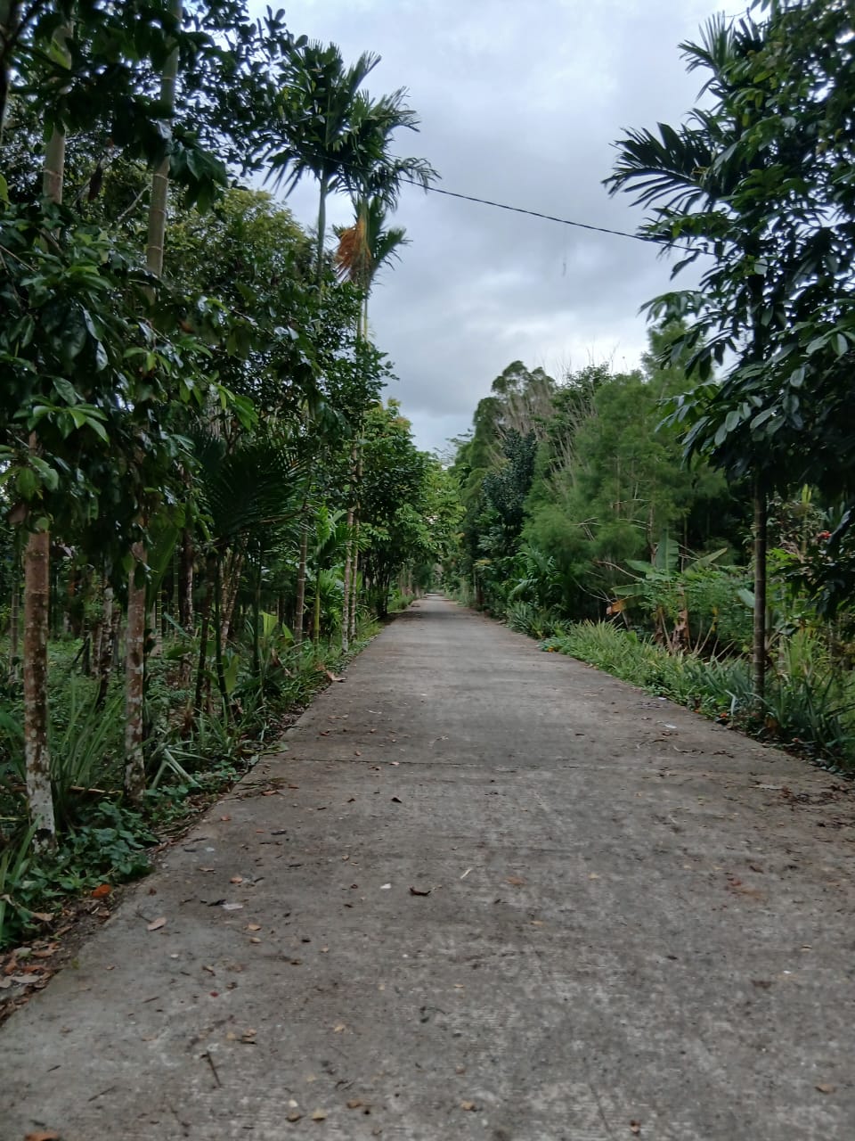 JELANG HUT RI KE 80, KAMPUNG UTIKINI I MERIAS WAJAH KAMPUNG