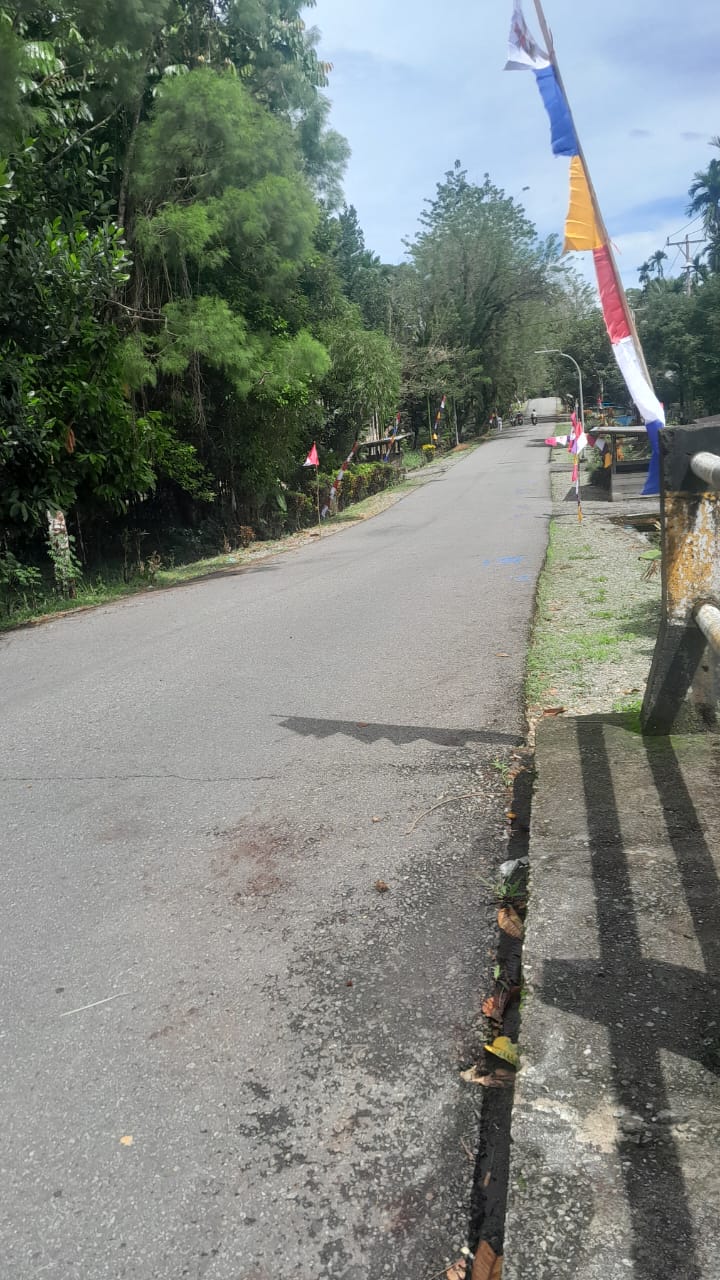 Pemasangan umbul-umbul di pinggir jalan
