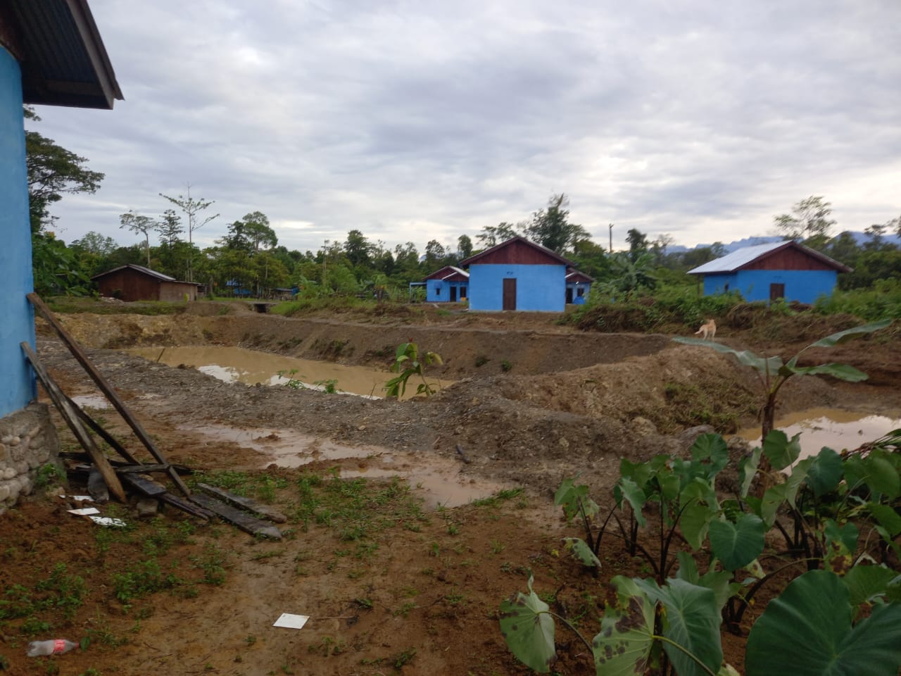 Rumah layak huni yang dibangun oleh Pemerintah Kampung Utikini Satu dengan anggaran yang bersumber dari Dana Desa