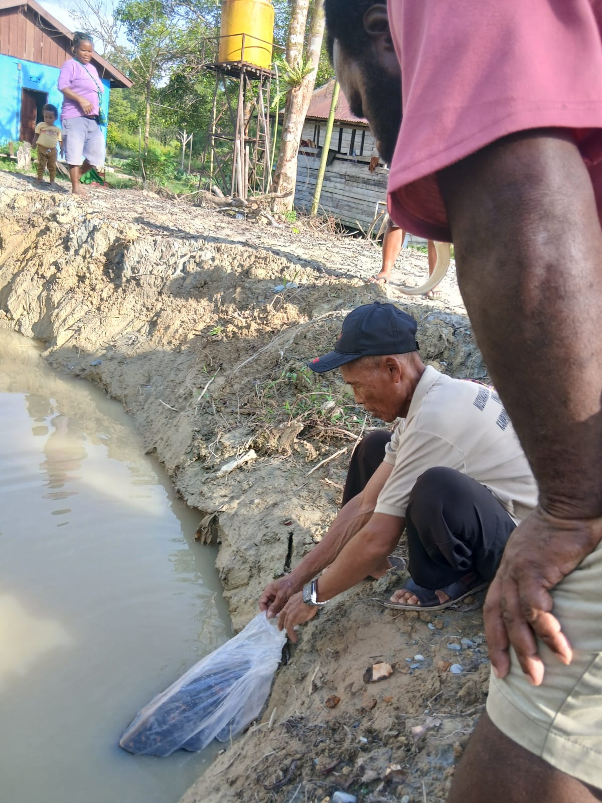 Sekertaris Kampung Utikini Satu Arif Karisto saat melepaskan bibit ikan nila kedalam kolam