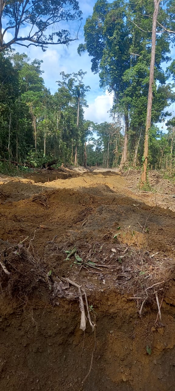 Kondisi sungai setelah dinormalisasi