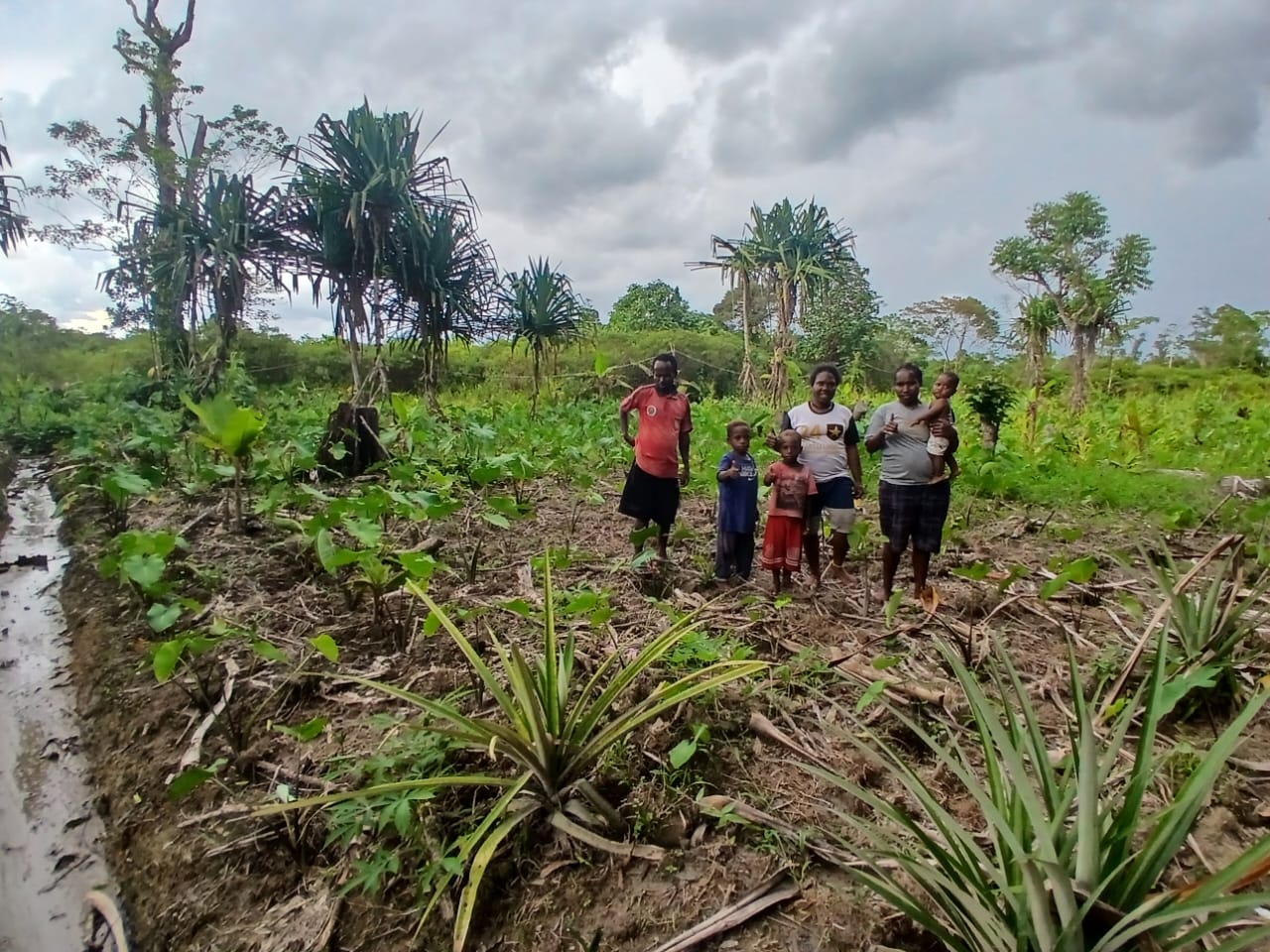 Warga saat berada di kebun untuk menanam bibit keladi