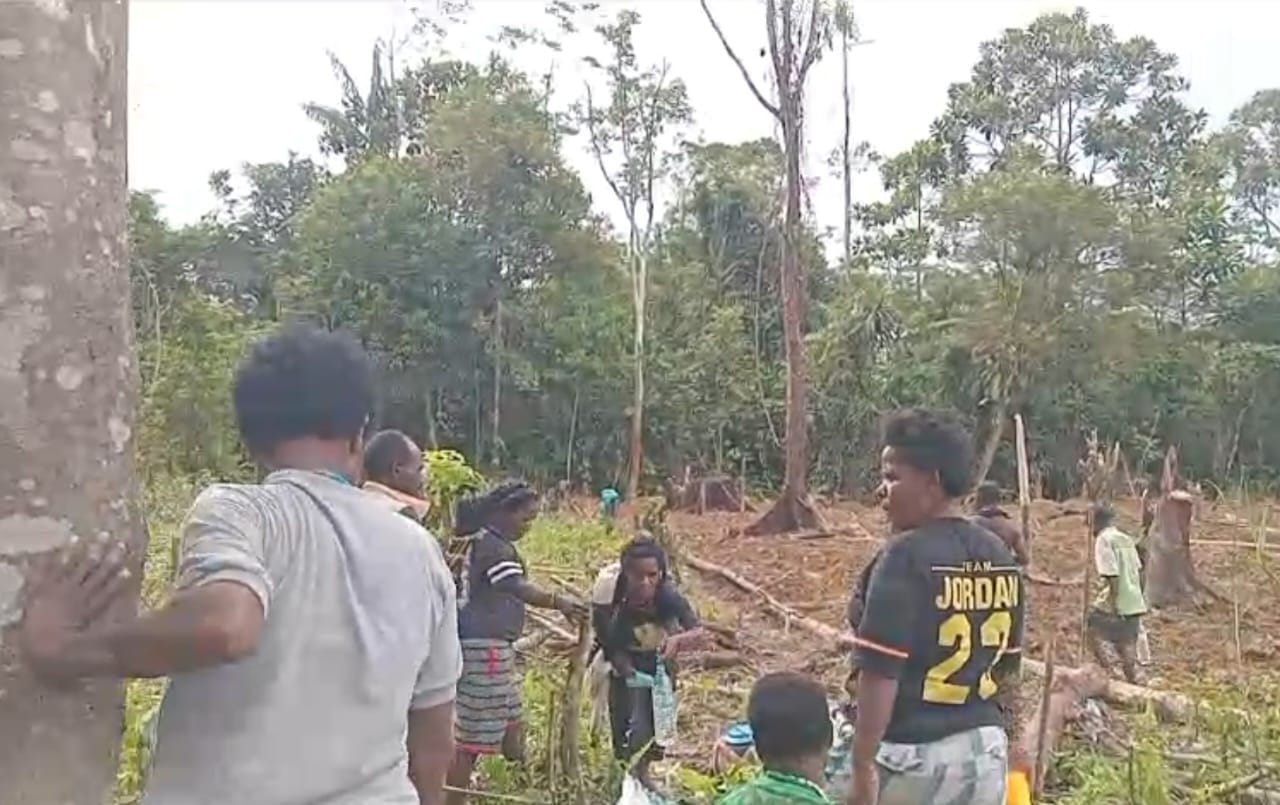 Warga saat berada di lahan yang telah dibersihkan untuk menanam bibit keladi 